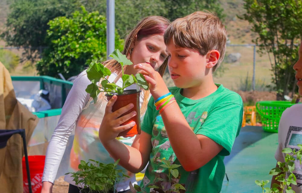 Grantee - San Pasqual Union School