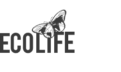 logo-ecolife